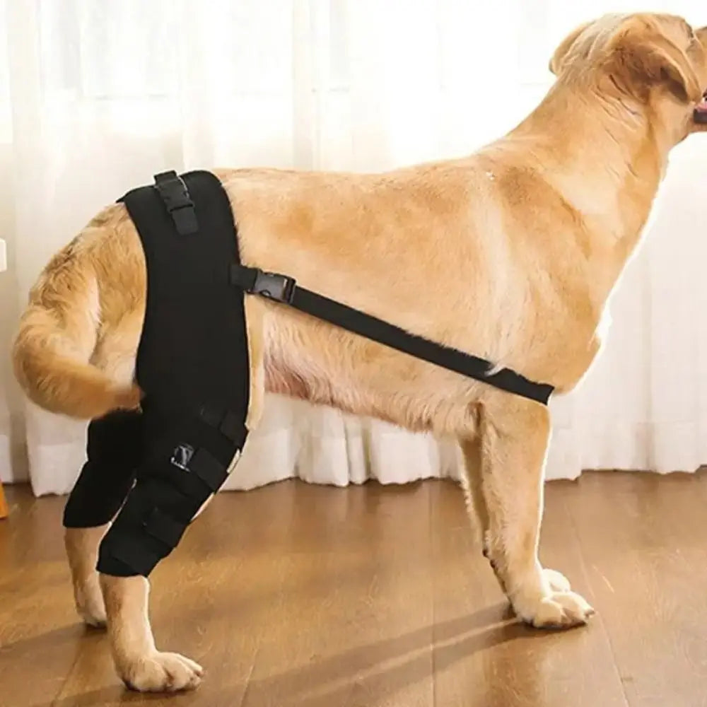 Dog Leg Support Brace – Knee & Hip Joint Protection, Injury Recovery & Ligament Support