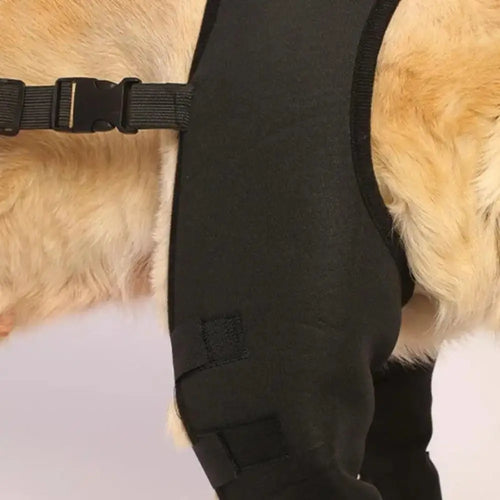 Dog Leg Support Brace – Knee & Hip Joint Protection, Injury Recovery & Ligament Support