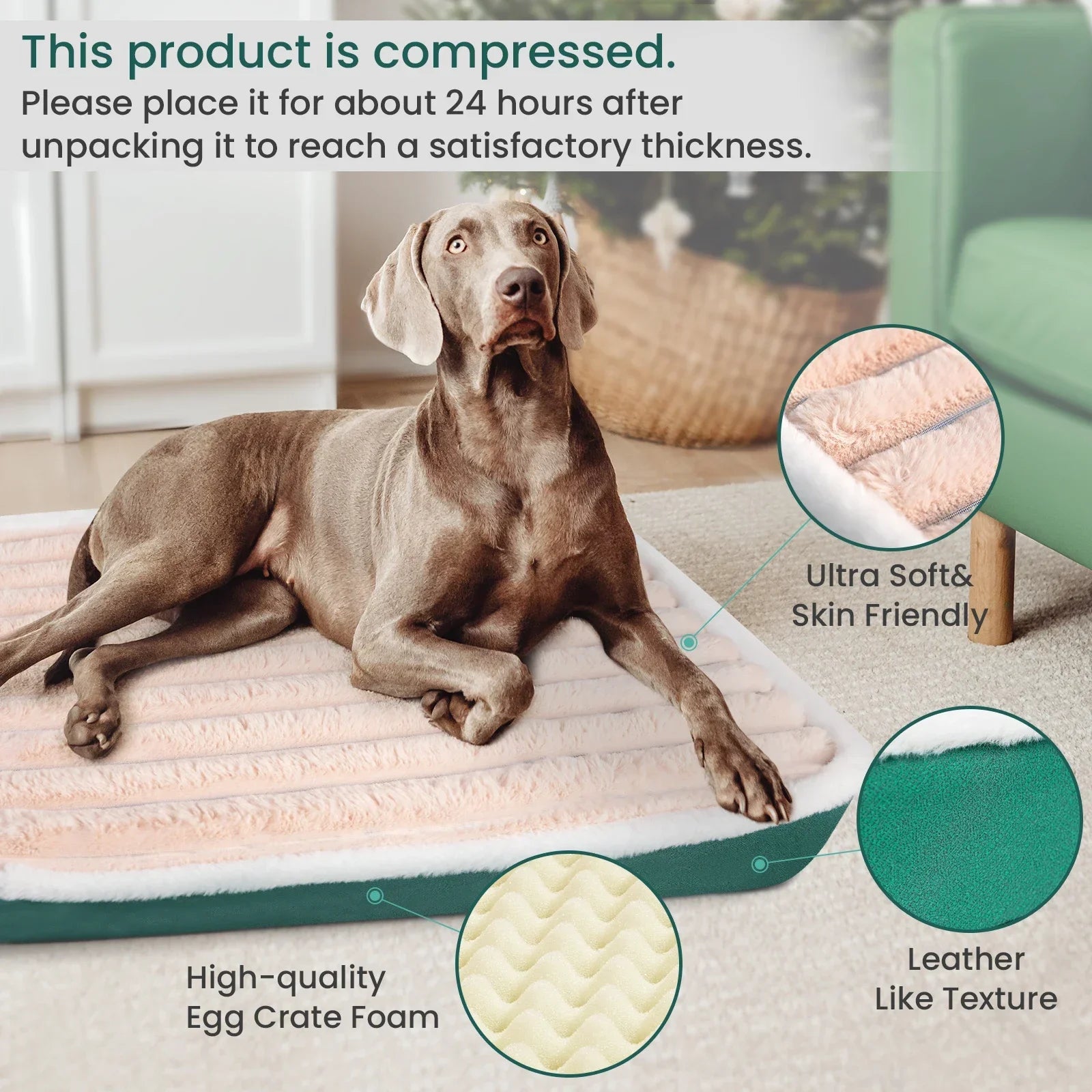 Orthopedic Plush Dog Bed – Ultra Soft Support with Washable Cover | VelyPet
