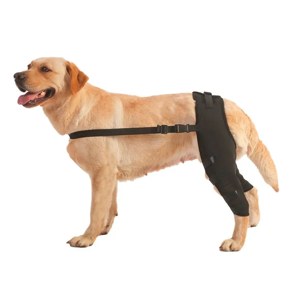Dog Leg Support Brace – Knee & Hip Joint Protection, Injury Recovery & Ligament Support