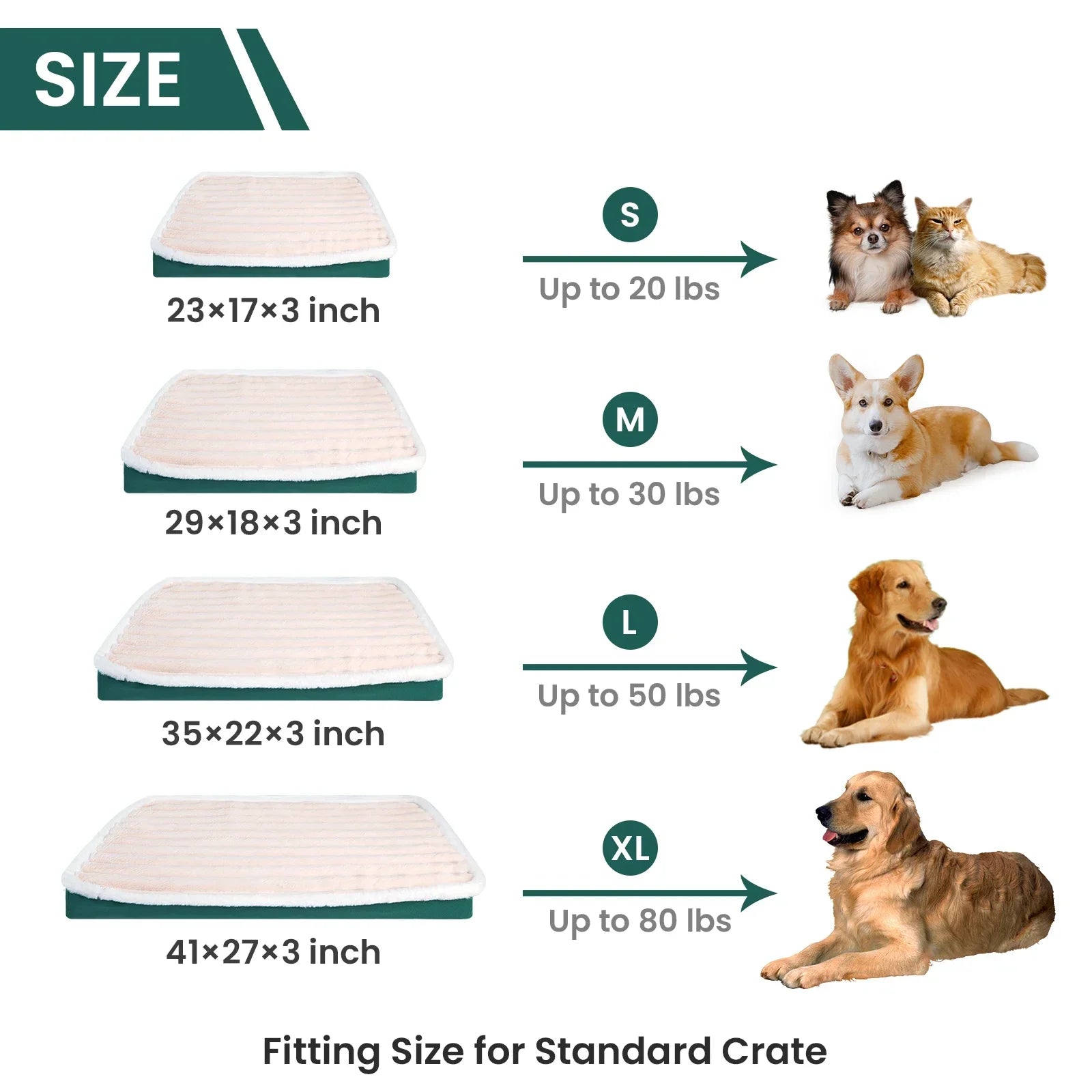 Orthopedic Plush Dog Bed – Ultra Soft Support with Washable Cover | VelyPet