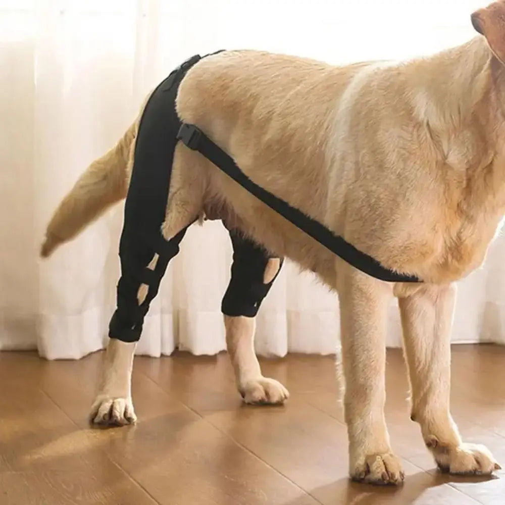 Dog Leg Support Brace – Knee & Hip Joint Protection, Injury Recovery & Ligament Support
