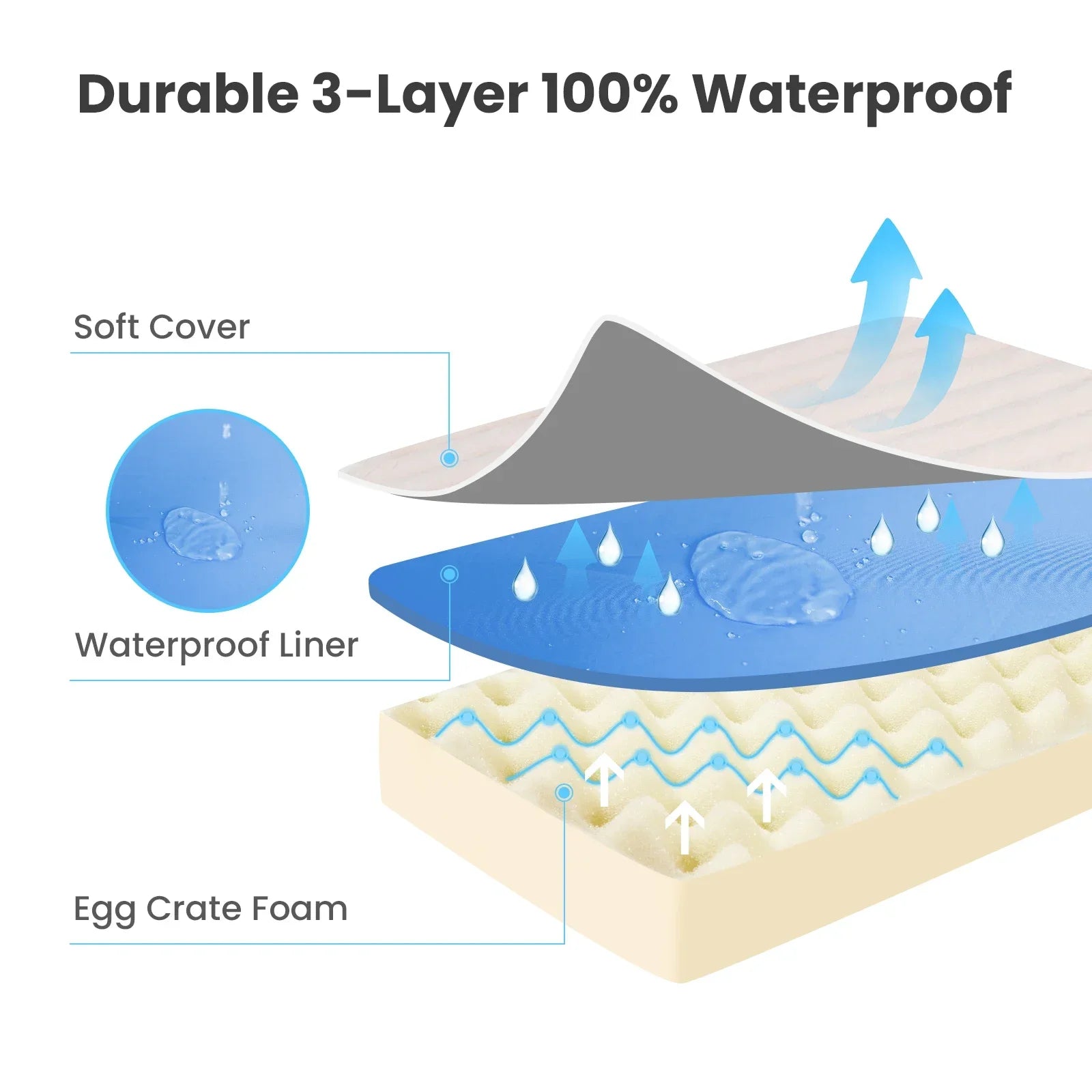 Orthopedic Plush Dog Bed – Ultra Soft Support with Washable Cover | VelyPet